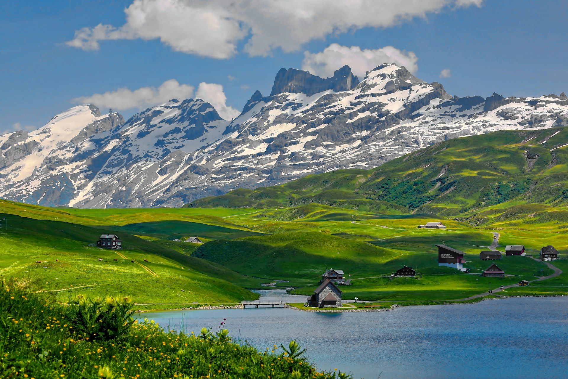 Alpensee mit grünen Wiesen